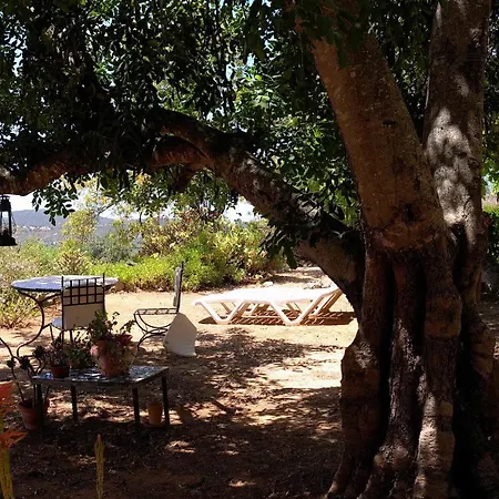 Quinta Amarela Xl By Portucasa Vila